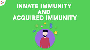 Immuniti - temoignage - composition - forum - avis