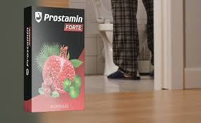 Prostamin Forte – où trouver – France – site officiel – commander 