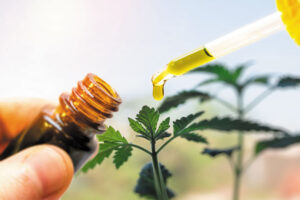 Cannabis oil - où acheter - en pharmacie - sur Amazon - site du fabricant - prix