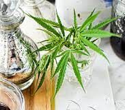 Cannabis oil - où trouver - commander - France - site officiel